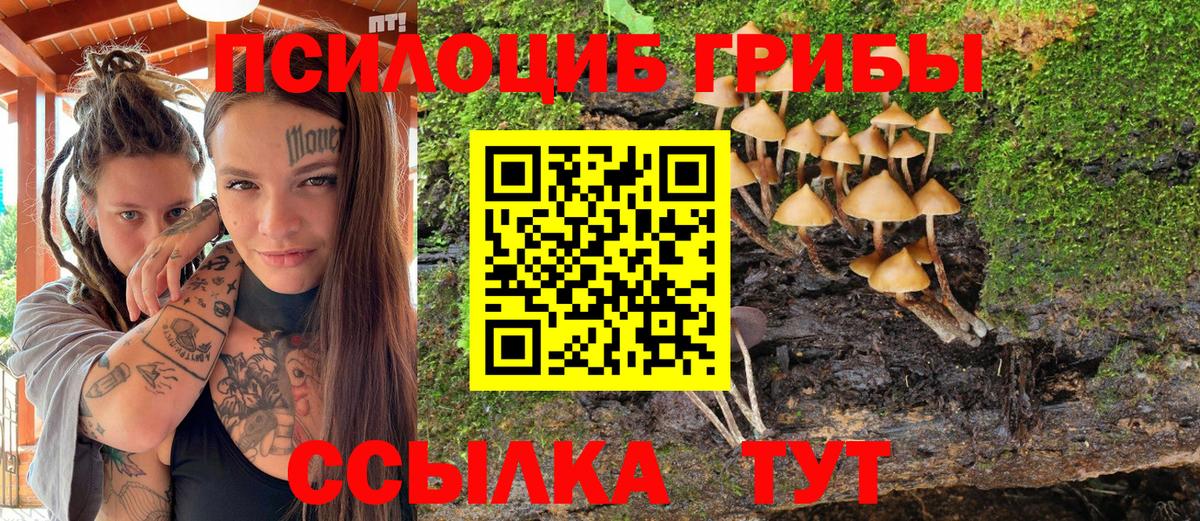Псилоцибиновые грибы мухоморы Черногорск