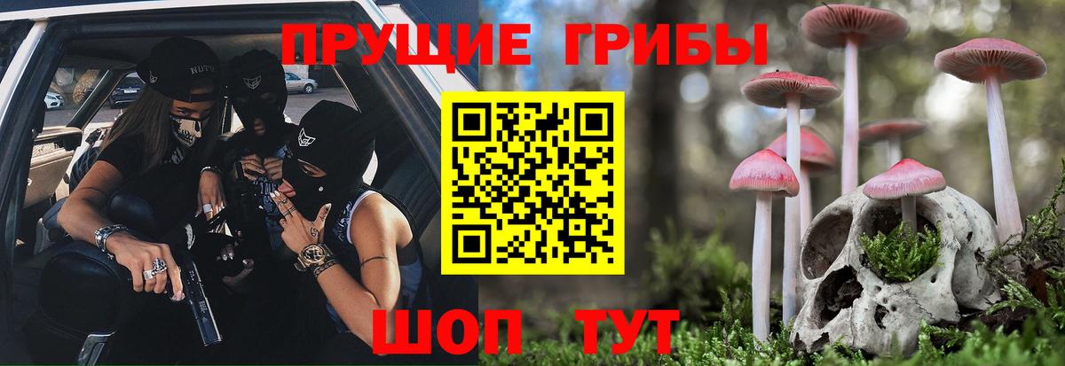 Галлюциногенные грибы Psilocybe  Вход с VPN  Черногорск 